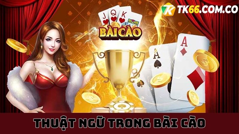 Cần nắm rõ các thuật ngữ được sử dụng trong game bài cào TK66